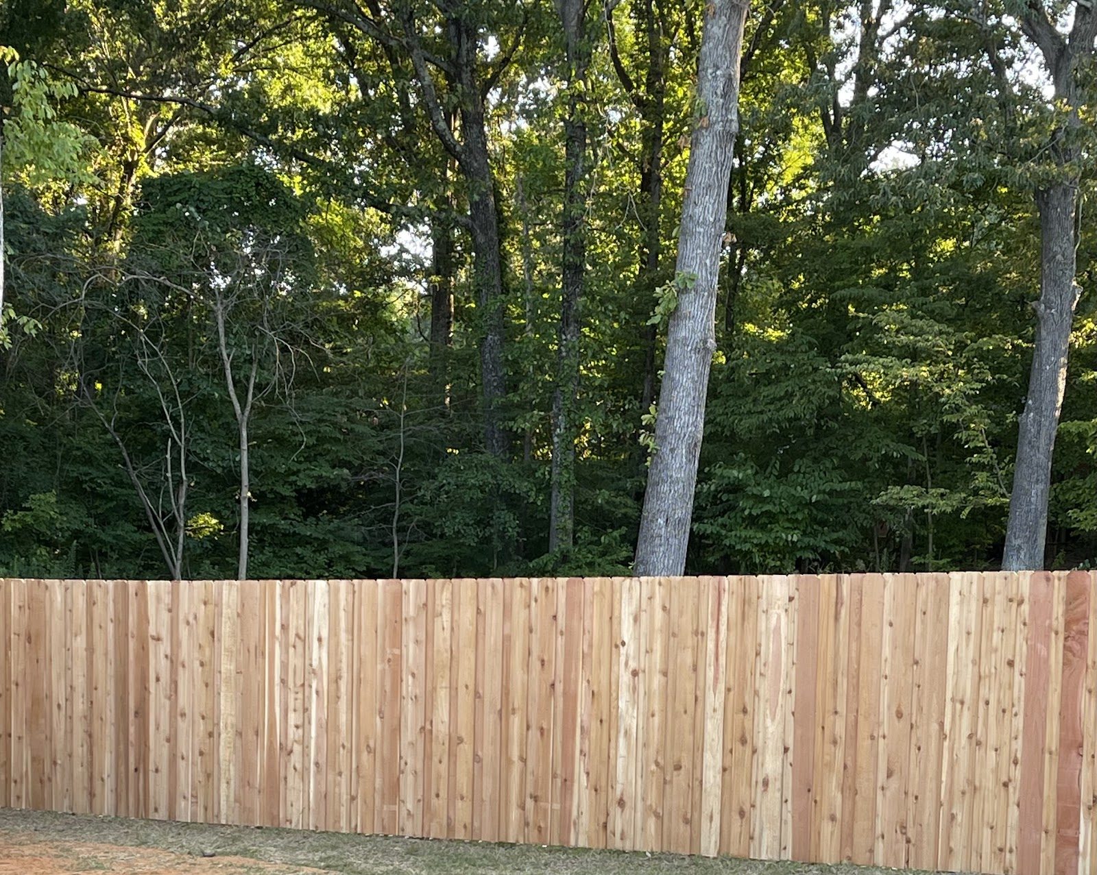 Wood privacy fence along a tree line