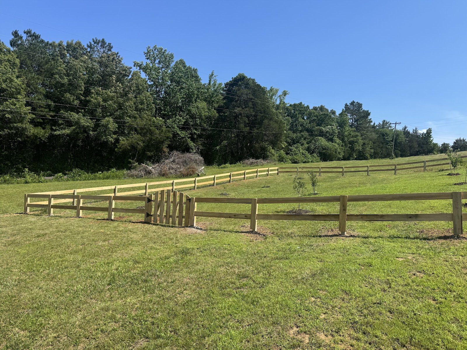 Three-board fence around an orchard
