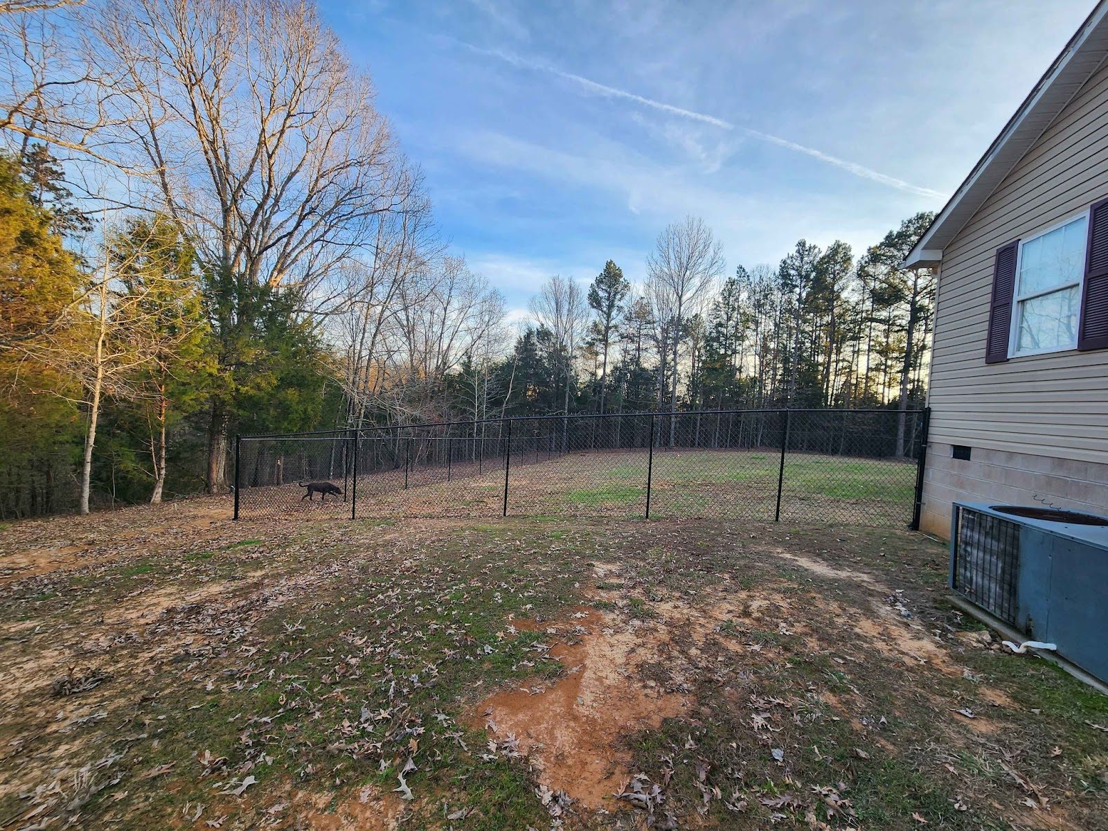 Black chain link fence beside a home